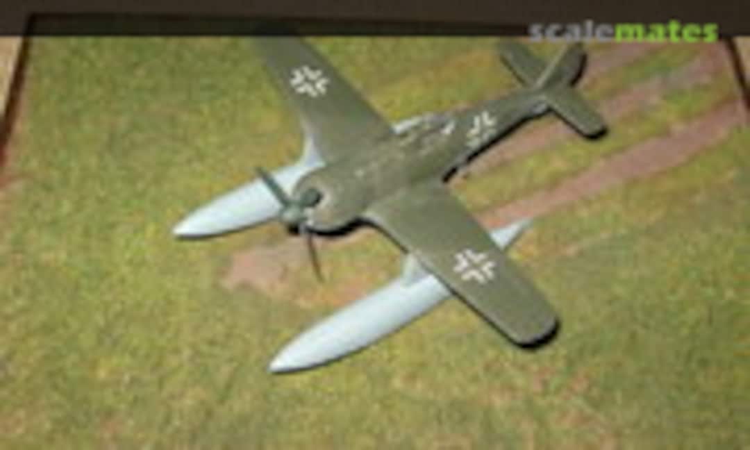 1:72 Focke Wulf Fw 190 W-1 (Bird Models 72018) 72018