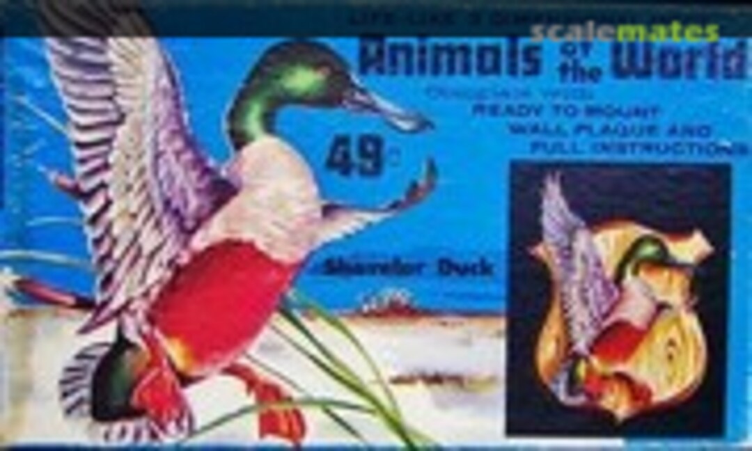 1:1 Shoveler Duck (Palmer Plastics 24-49)
