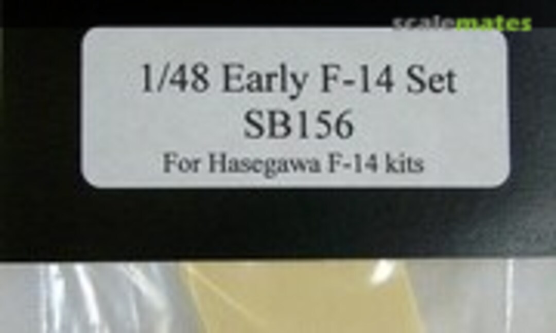 1:48 Early F-14 Tomcat Backdate Set (Steel Beach 48998) 48998