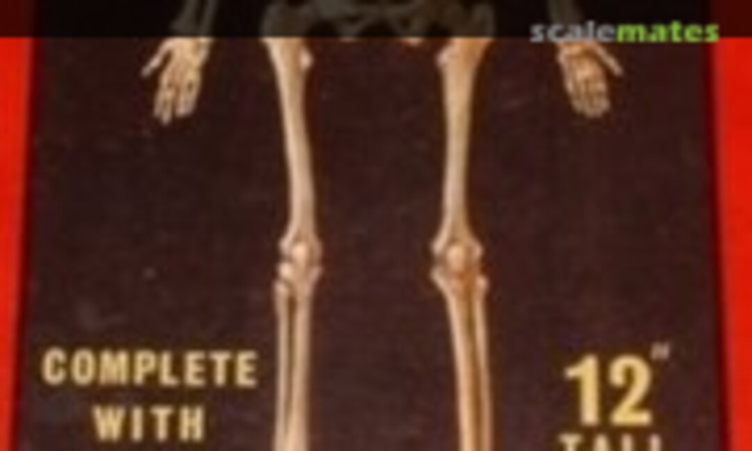 1:6 Skeleton (Airfix A301N)
