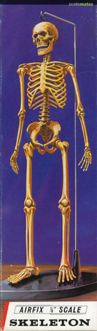 Boxart Skeleton A301N Airfix Boxart Skeleton A301N Airfix