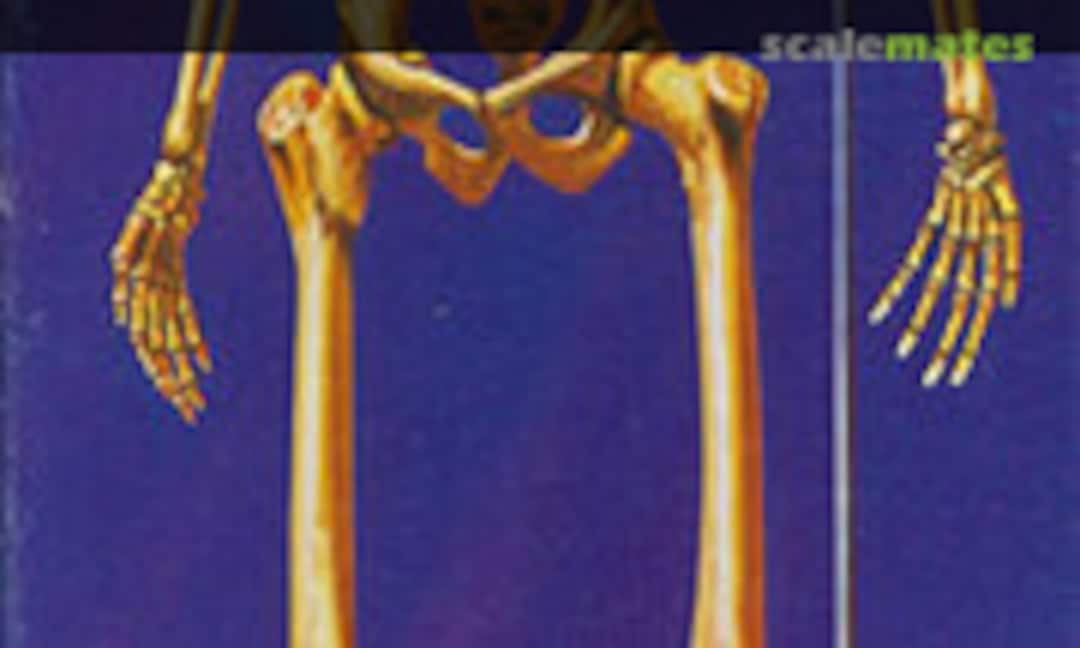 1:6 Skeleton (Airfix A301N)