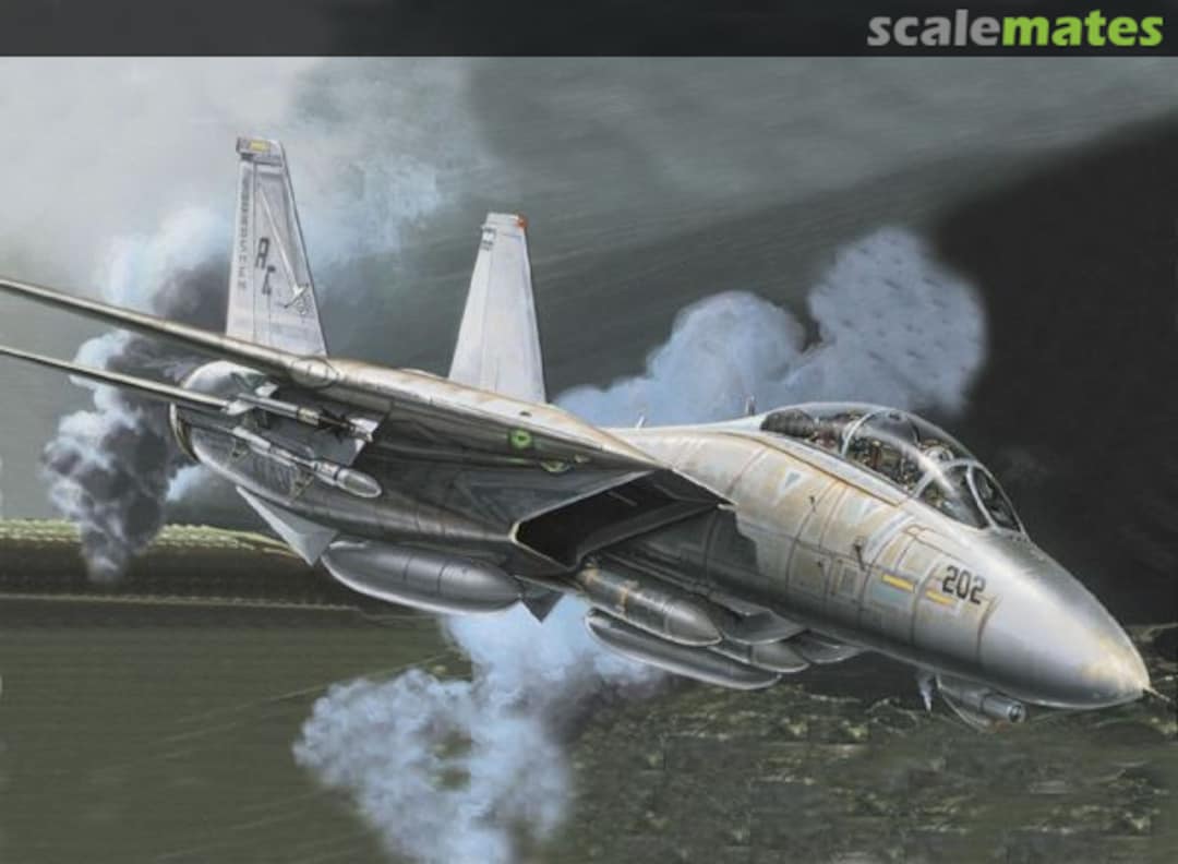 Boxart F-14 A Tomcat Plus 0837 Italeri Boxart F-14 A Tomcat Plus 0837 Italeri