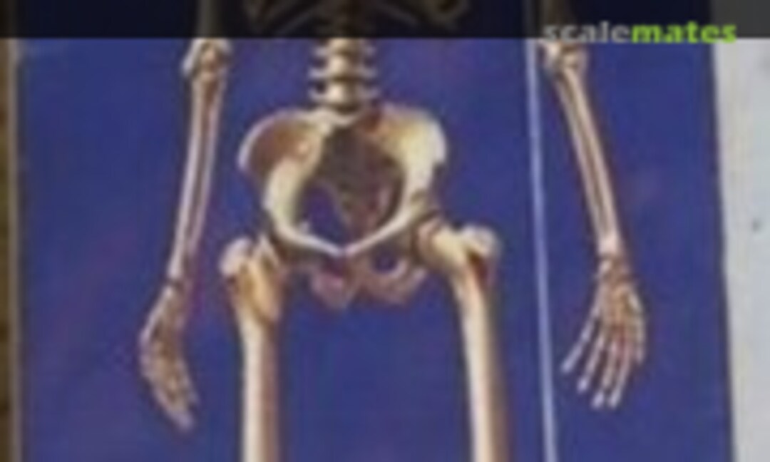 1:6 Skeleton (Airfix 03541-5)