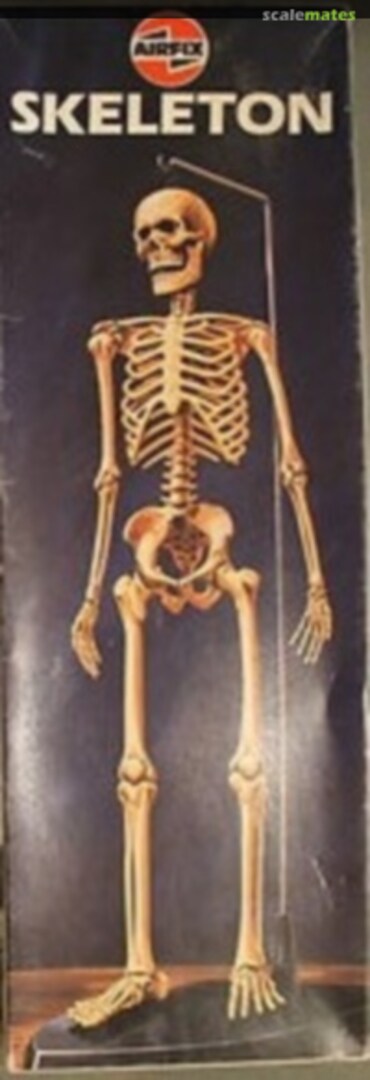 Boxart Skeleton 03541-5 Airfix