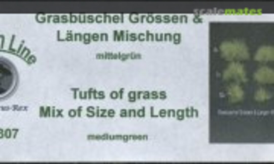 No Tufts of grass sizes and lengths mixture (refer Swatch) <Medium Green> (Fredericus-Rex GL-307) GL-307