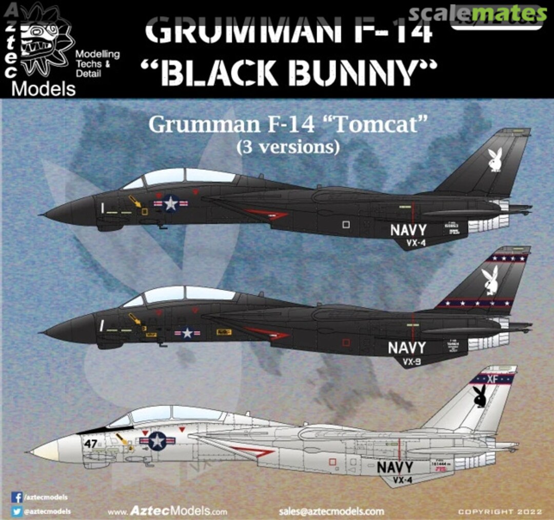 Boxart Grumman F-14 "Black Bunny" 48-086 Aztec Models Boxart Grumman F-14 "Black Bunny" 48-086 Aztec Models