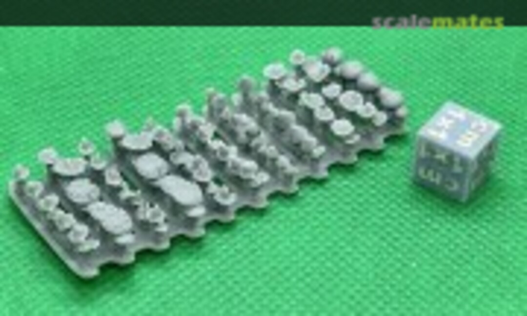 No Grzyby 6mm - 11 r??nych typ?w 50-60 szt (EMP3d 99160104) 99160104