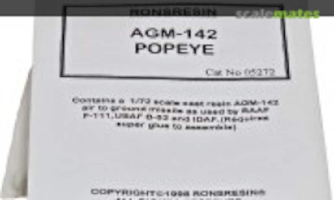 1:72 AGM-142 Popeye (Ron's Resin 05272) 05272