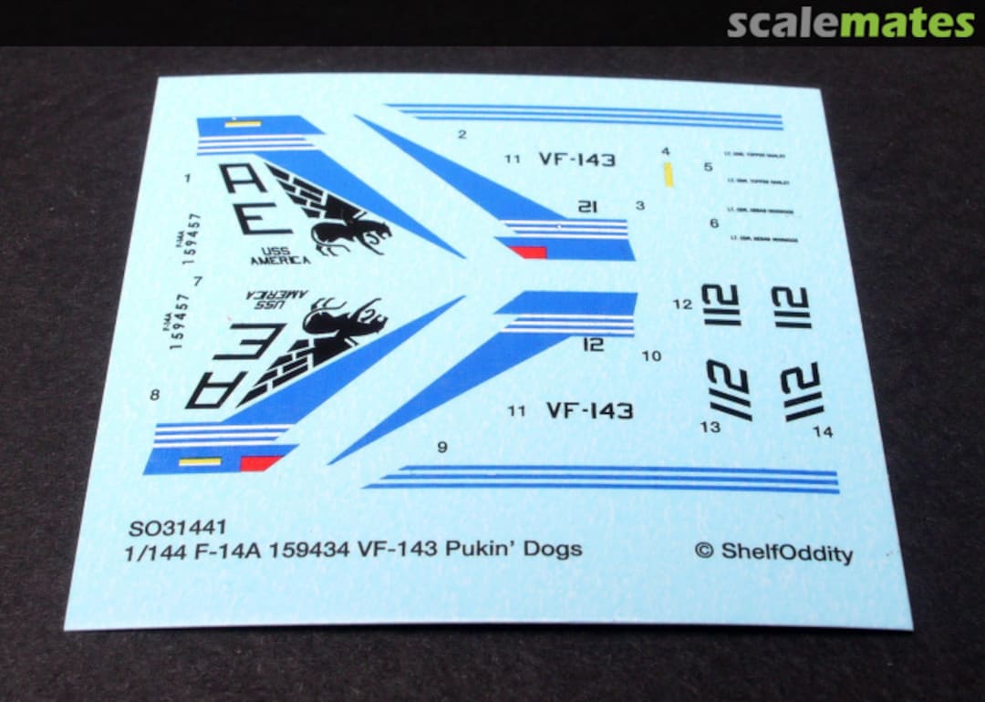 Boxart F-14A VF-143 Pukin' Dogs SO314401 Shelf Oddity Boxart F-14A VF-143 Pukin' Dogs SO314401 Shelf Oddity