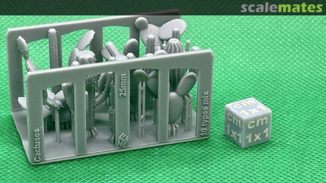 Boxart Cactuses Mix - 10 different - 25 mm 99160108 EMP3d Boxart Cactuses Mix - 10 different - 25 mm 99160108 EMP3d