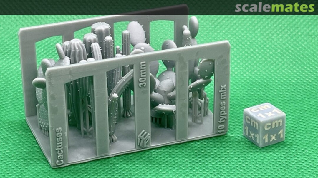 Boxart Cactuses Mix - 10 different - 30 mm 99160109 EMP3d Boxart Cactuses Mix - 10 different - 30 mm 99160109 EMP3d