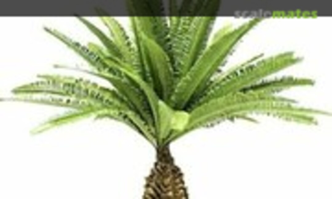 1:35 Desert Palm - Height 8 cm (Diorama-World TPD-021) TPD-021