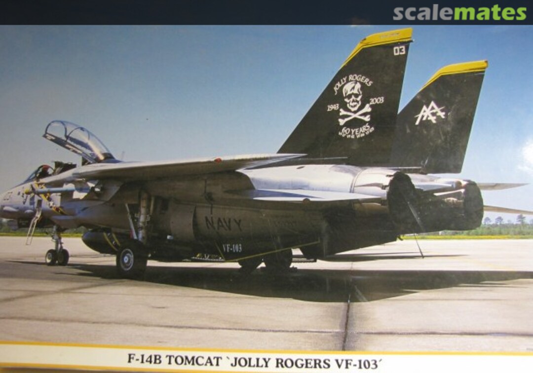 Boxart F-14B Tomcat `Jolly Rogers VF-103´ 09502 Hasegawa Boxart F-14B Tomcat `Jolly Rogers VF-103´ 09502 Hasegawa