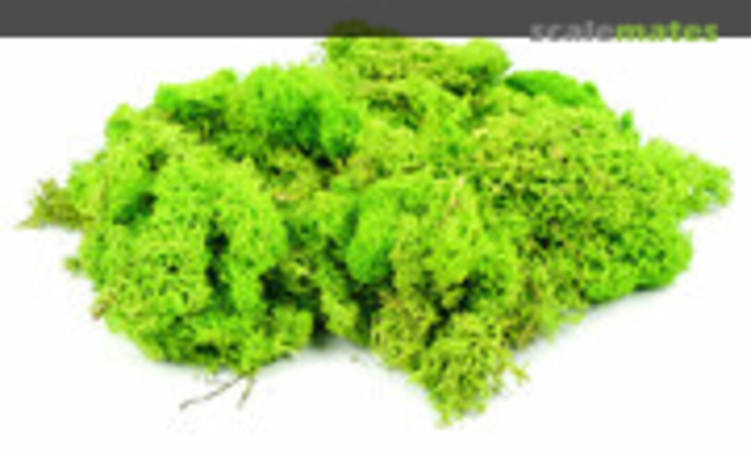 1:87 Lichen - Light Green (80g) (Gaugemaster GM164) GM164