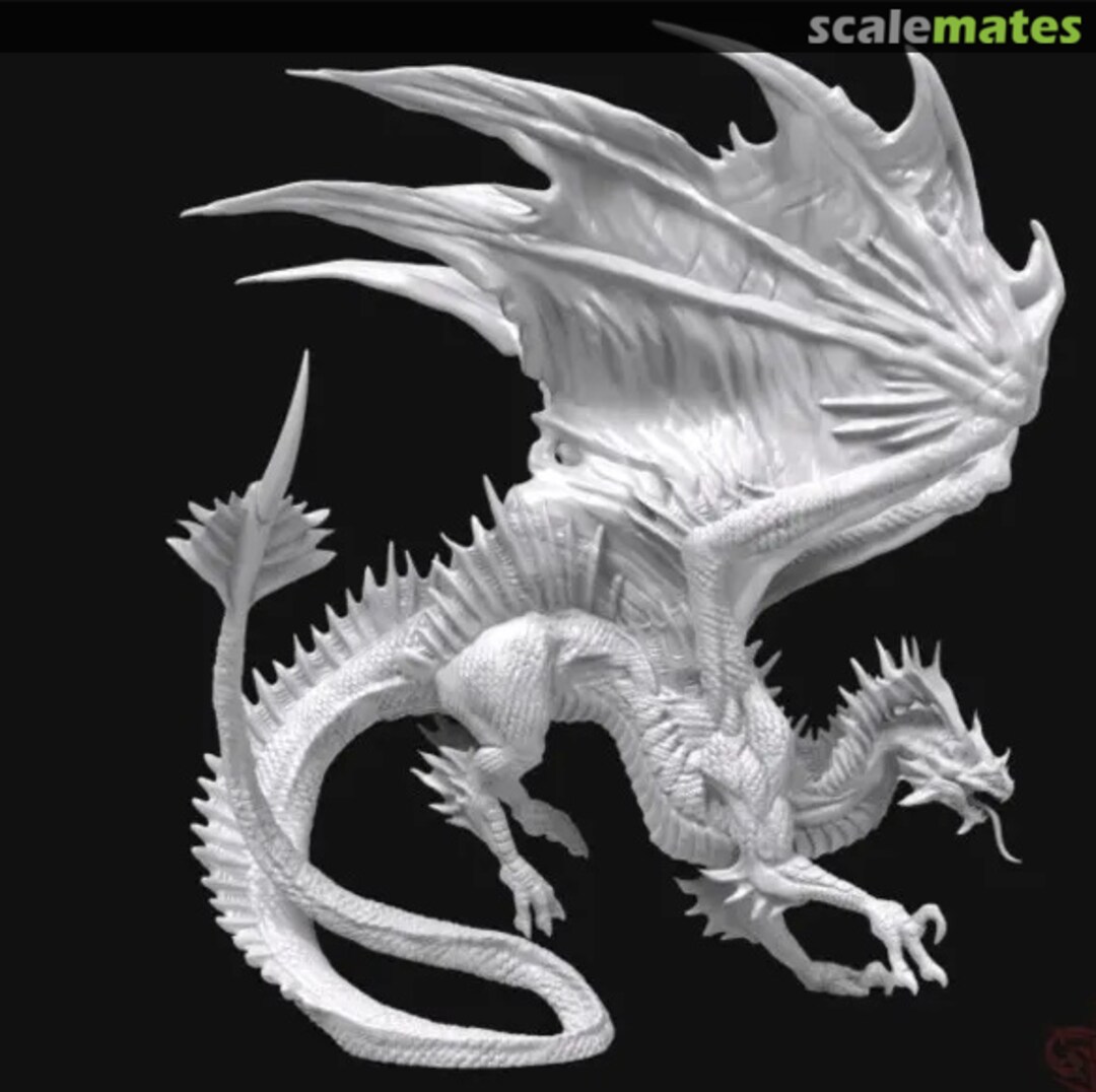 Boxart Sivax Magnifex DAO-21003 Draco Studios Boxart Sivax Magnifex DAO-21003 Draco Studios