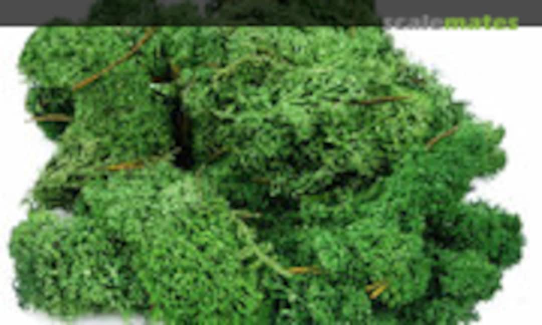 1:87 Lichen - Dark Green (80g) (Gaugemaster GM165) GM165