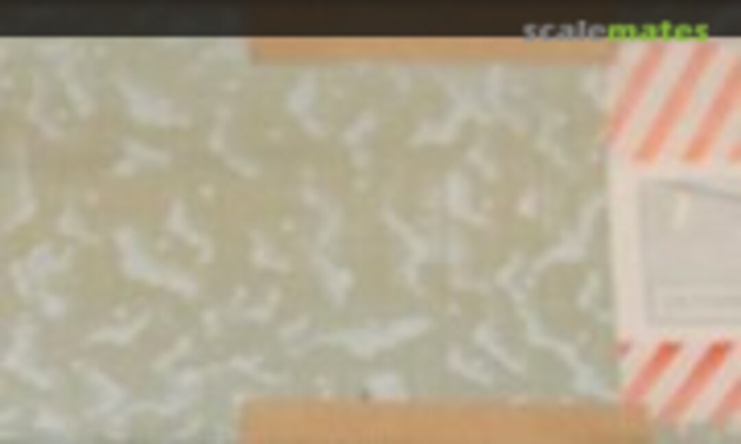 1:9 Skyfarer (Eagle Model Aircraft Company )