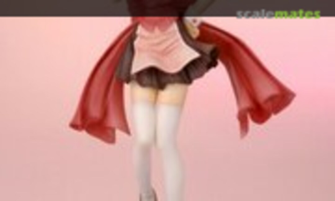 1:6 Takase Mizuki (T's System )