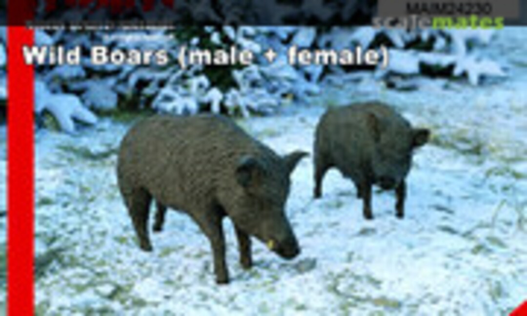 1:24 Wild Boars (male + female) (MAiM MAIM24230) MAIM24230