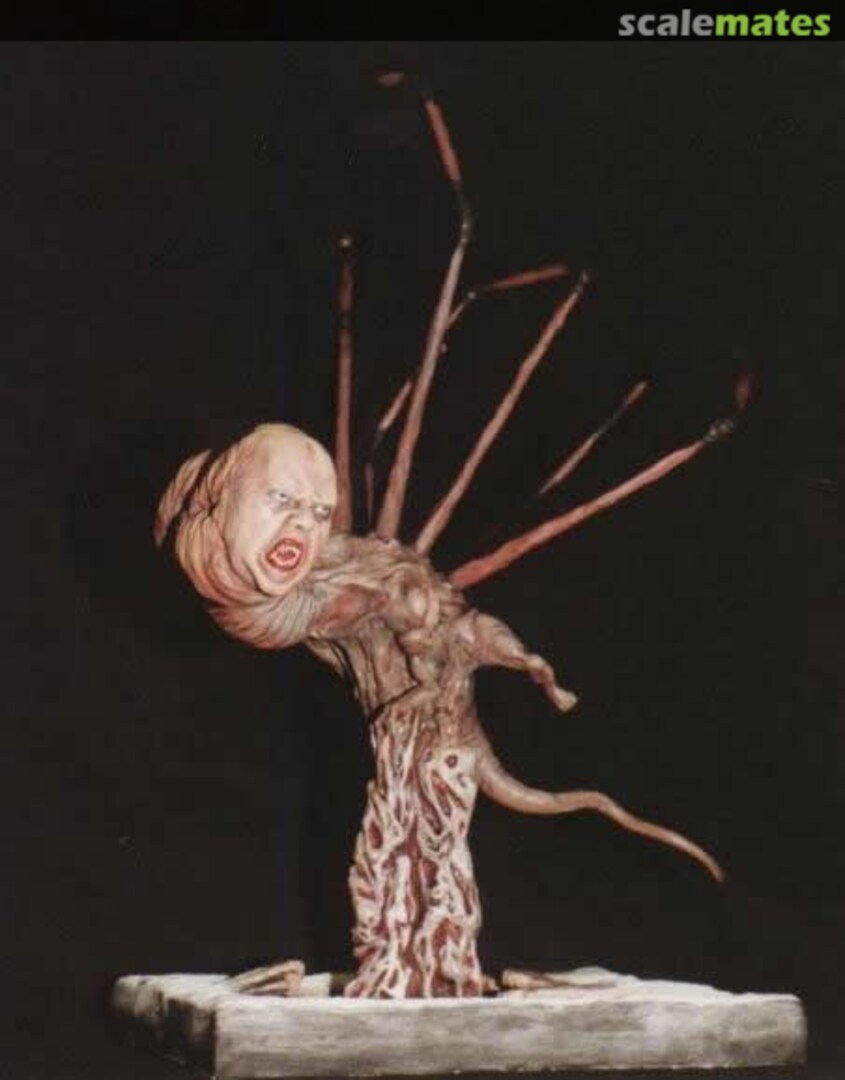 Boxart "Norris you're flipppin kidding"  Jamie Salmon