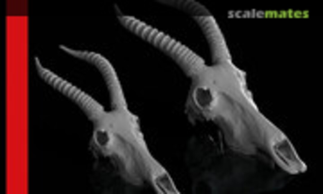 1:35 Antelope Skulls (2pcs) (MAiM MAIM35390)