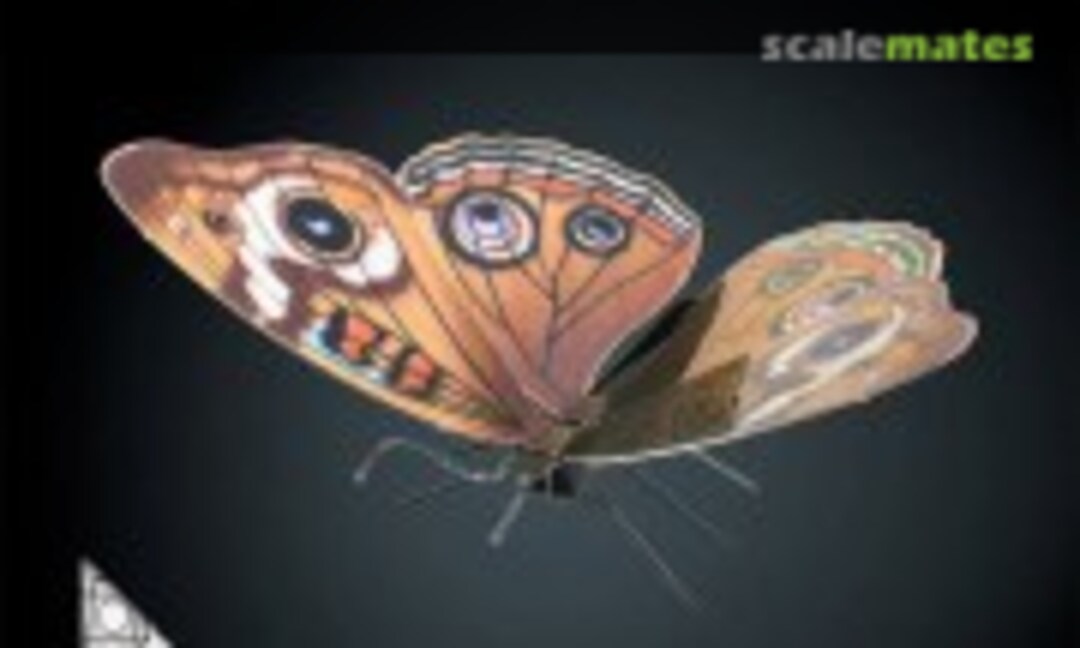 No Buckeye Butterfly (Fascinations MMS124)