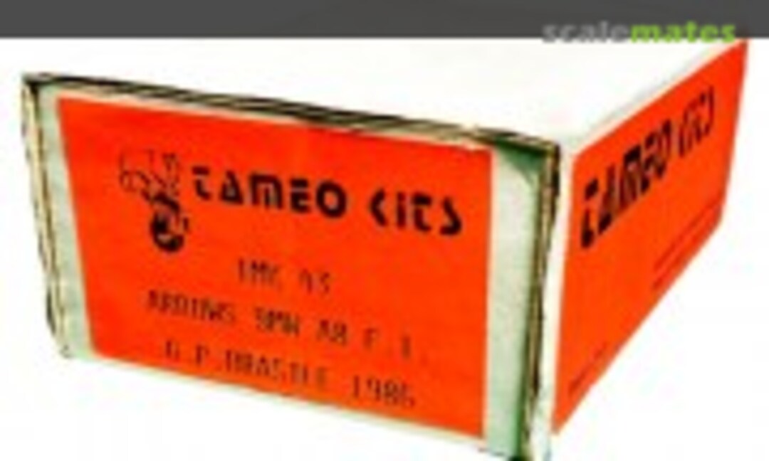 1:43 Arrows BMW A8 F.1 (Tameo Kits TMK 43)