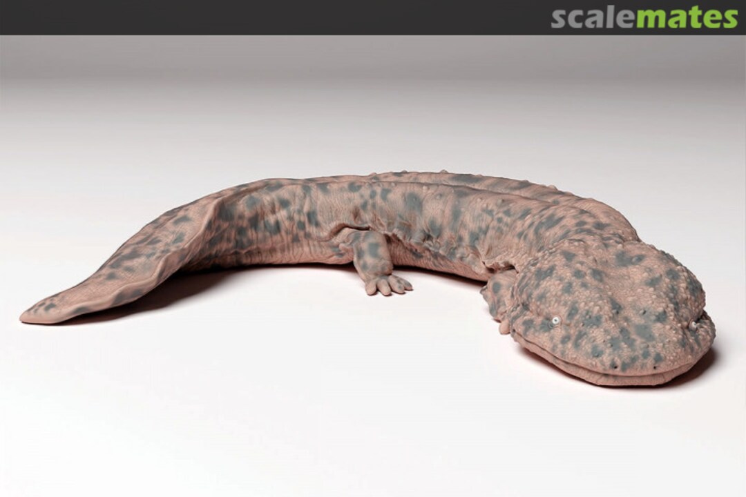 Boxart Japanese giant salamander (1 pieces) 48130294 EMP3d Boxart Japanese giant salamander (1 pieces) 48130294 EMP3d