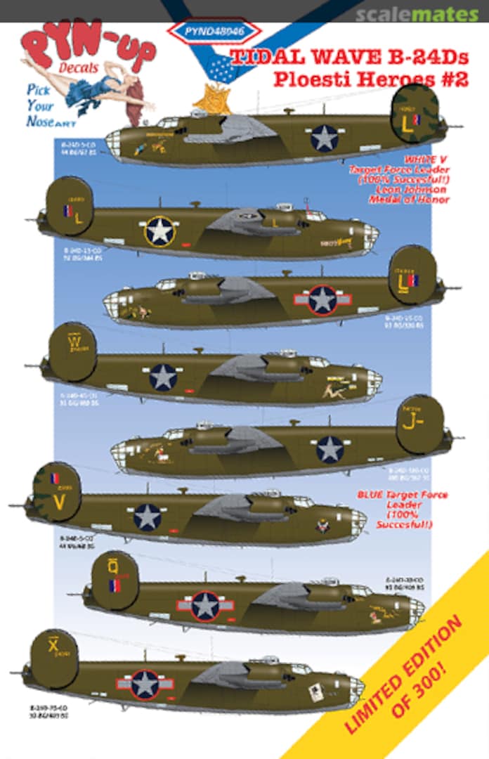 Boxart Tidal Wave B-24Ds: Ploesti Heroes #2 PYND48046 Pyn-Up Decals Boxart Tidal Wave B-24Ds: Ploesti Heroes #2 PYND48046 Pyn-Up Decals
