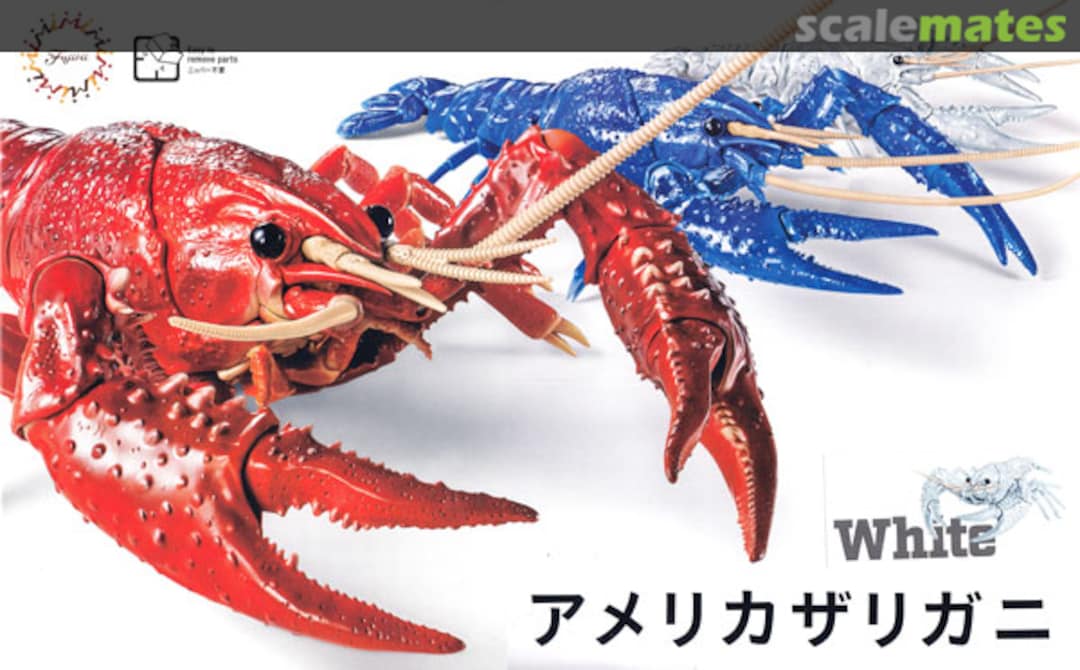 Boxart Crayfish (Procambarus clarkii) White 17088 Fujimi Boxart Crayfish (Procambarus clarkii) White 17088 Fujimi