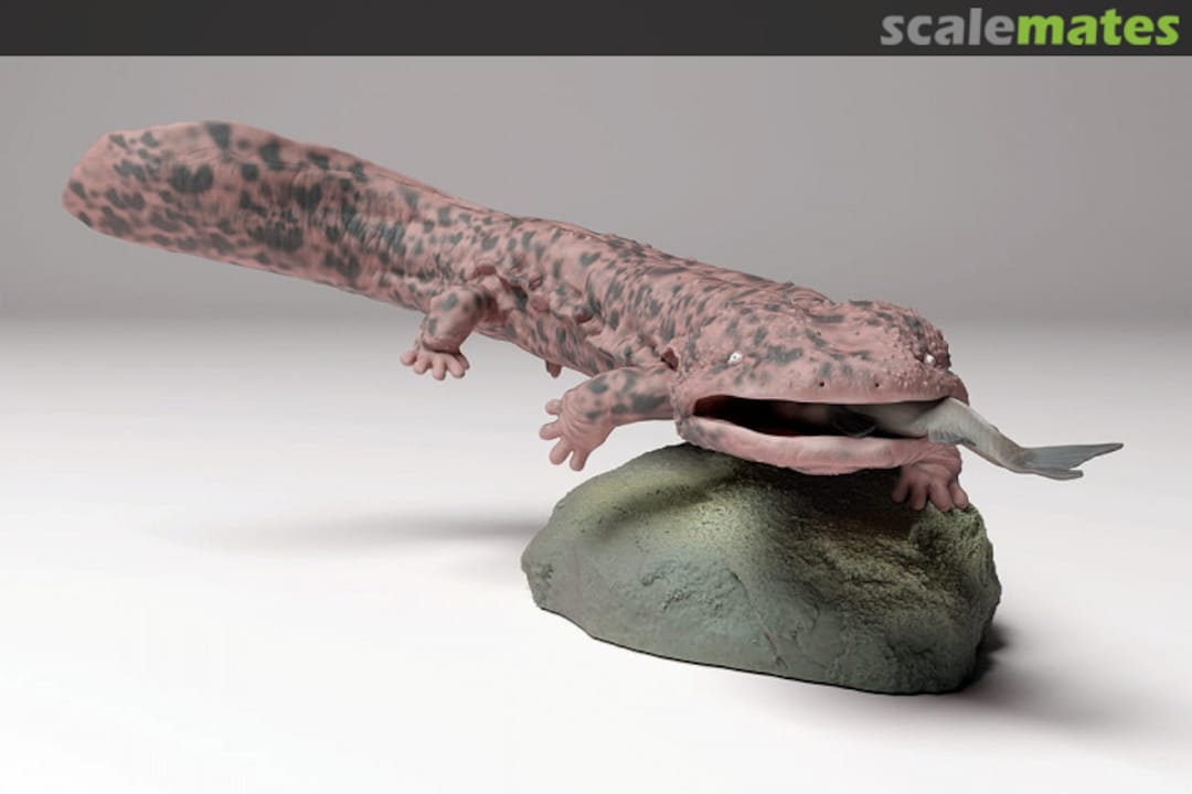 Boxart Japanese giant salamander with fish (1 pieces) 48130295 EMP3d Boxart Japanese giant salamander with fish (1 pieces) 48130295 EMP3d