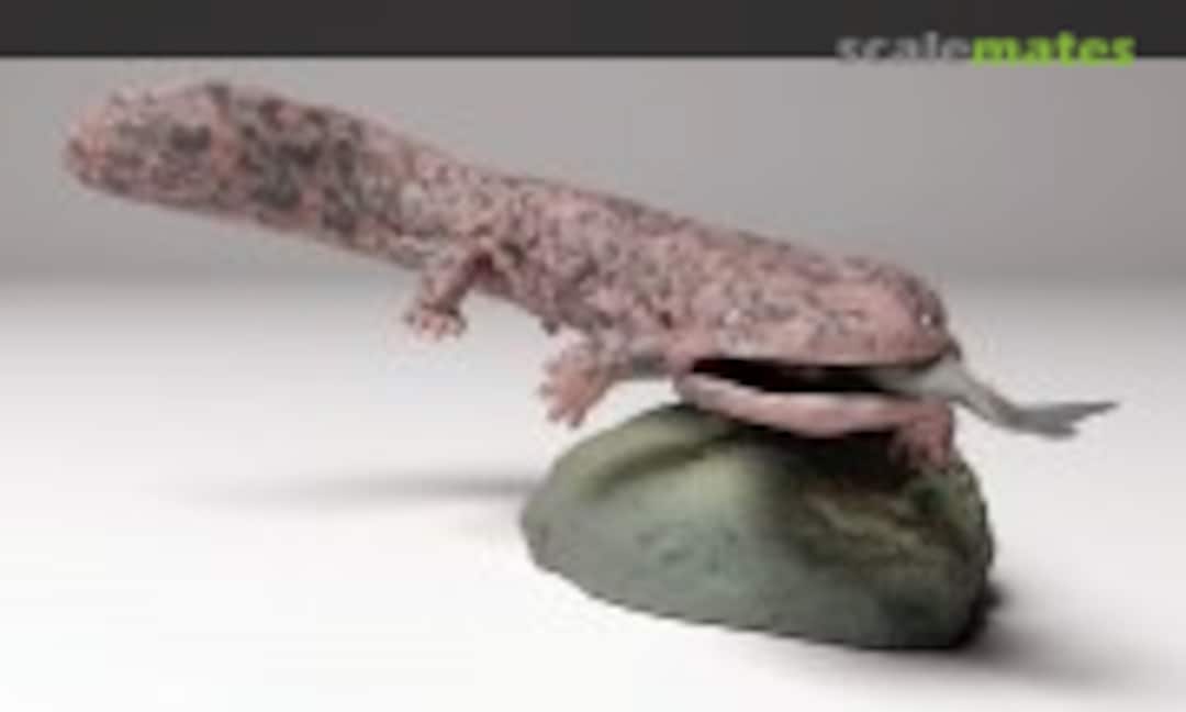 1:48 Japanese giant salamander with fish (1 pieces) (EMP3d 48130295) 48130295