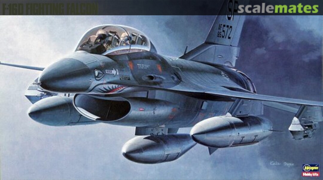 Boxart F-16D Fighting Falcon 06106 Hasegawa Boxart F-16D Fighting Falcon 06106 Hasegawa