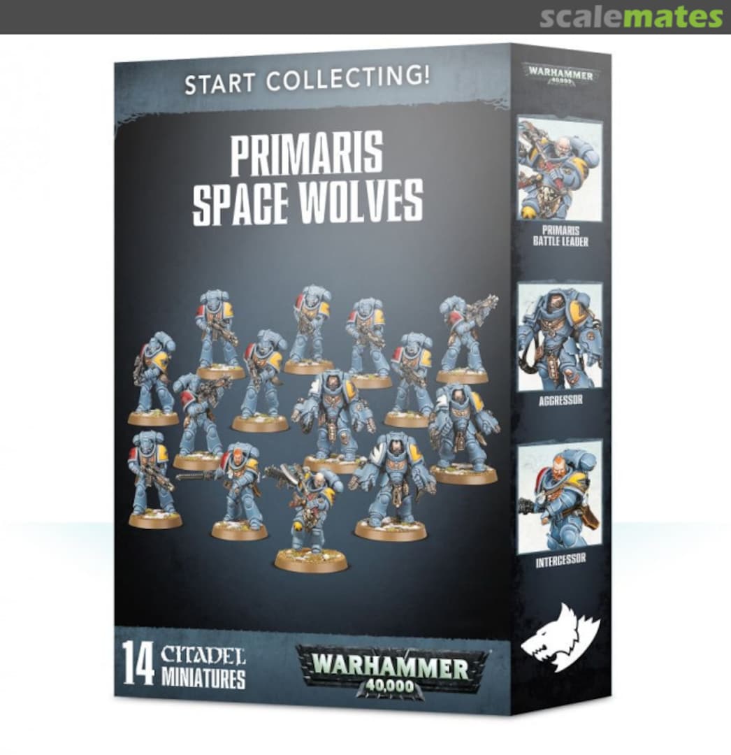 Boxart Primaris Space Wolves 70-53 Games Workshop Boxart Primaris Space Wolves 70-53 Games Workshop