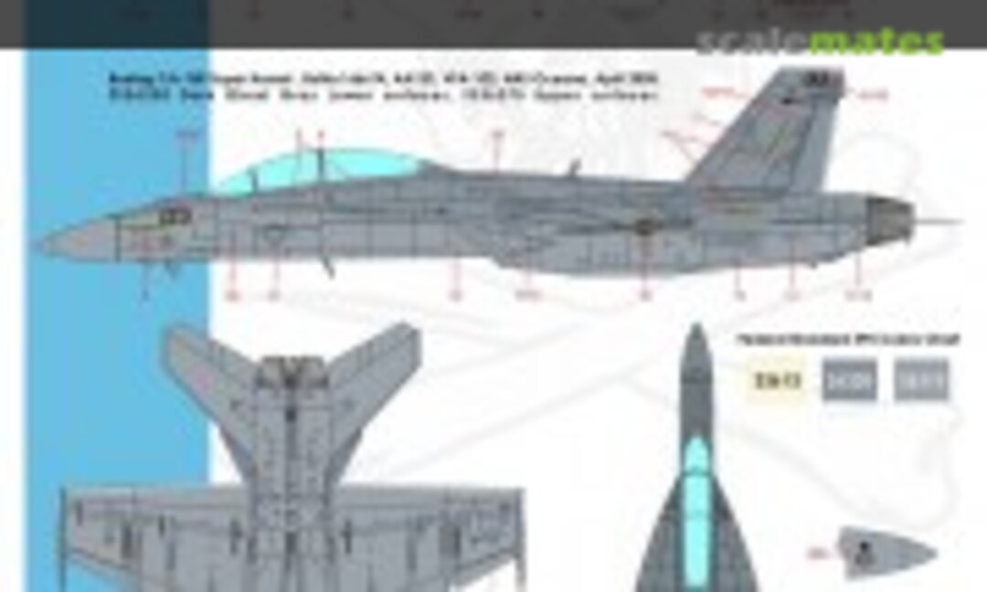 1:48 SuperBug of Jolly Rogers (CtA Models CTA-013) CTA-013