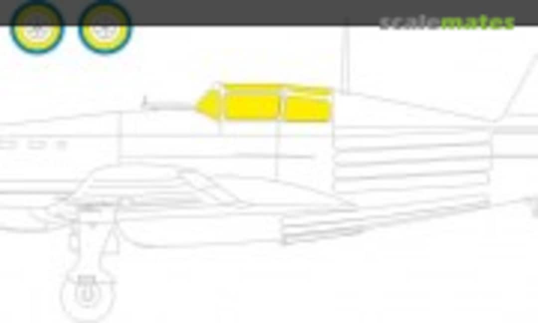 1:48 MS 406.C1 TFace masks (Eduard EX1065) EX1065
