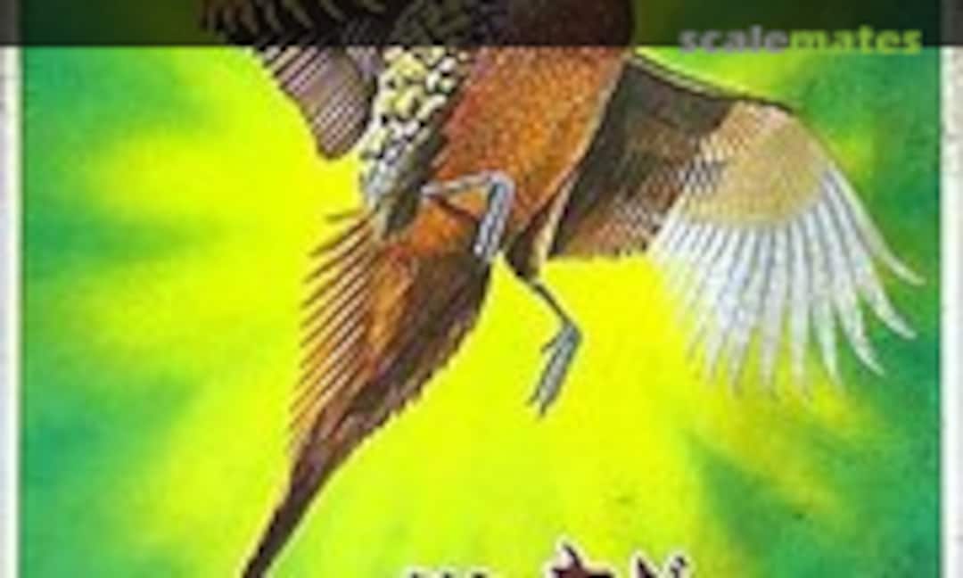 1:1 Ring Necked Pheasant (Bull Mark )