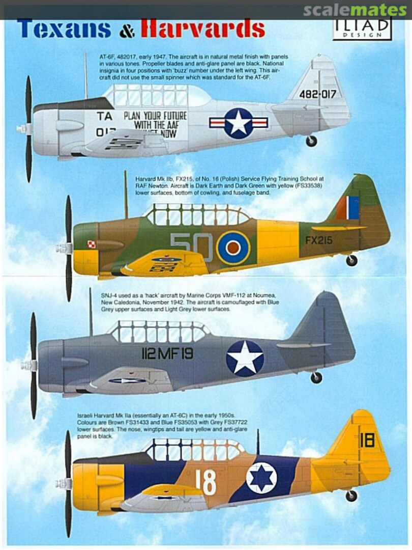 Boxart Texans & Harvards 48010 Iliad Design Boxart Texans & Harvards 48010 Iliad Design