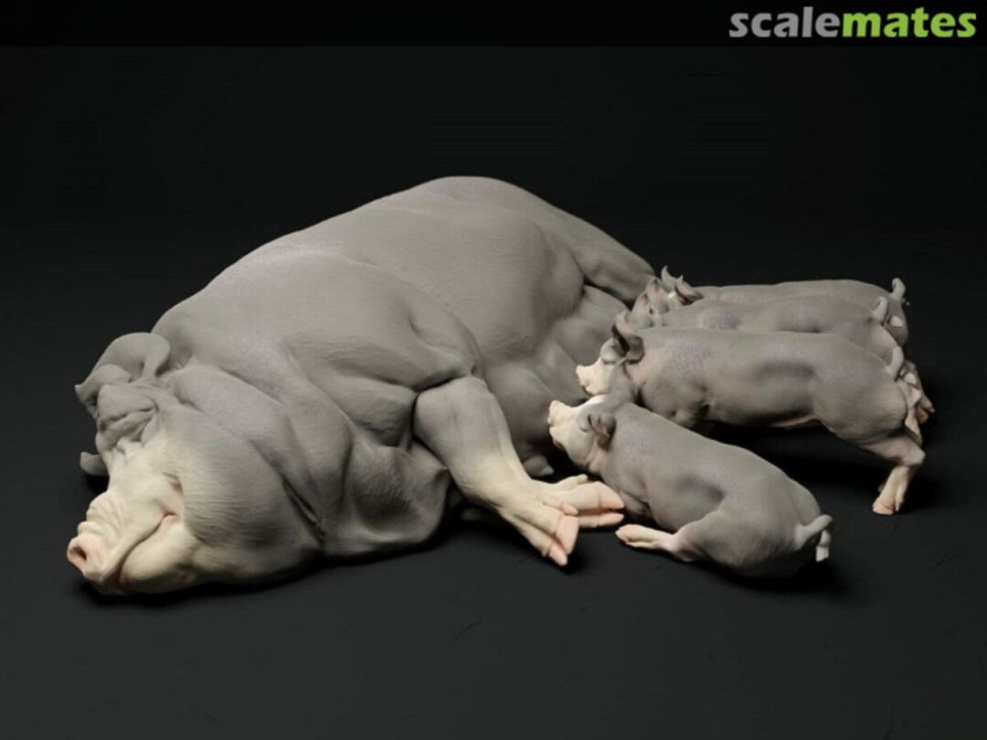 Boxart Pig / Berkshire - Sow and Piglets 48130314 EMP3d