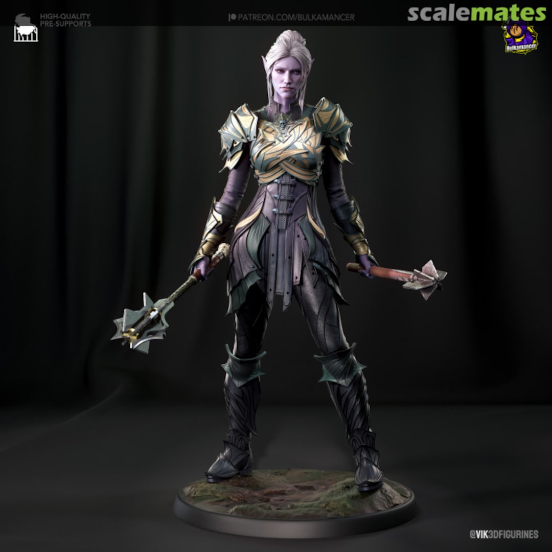 Boxart Dark Elf Paladin Bulkamancer Sculpts Boxart Dark Elf Paladin Bulkamancer Sculpts
