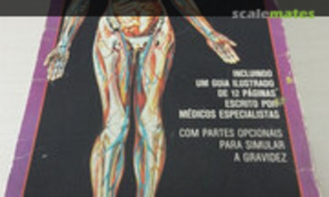 1:5 A Mulher Visivel (Revell/Kikoler H-901)