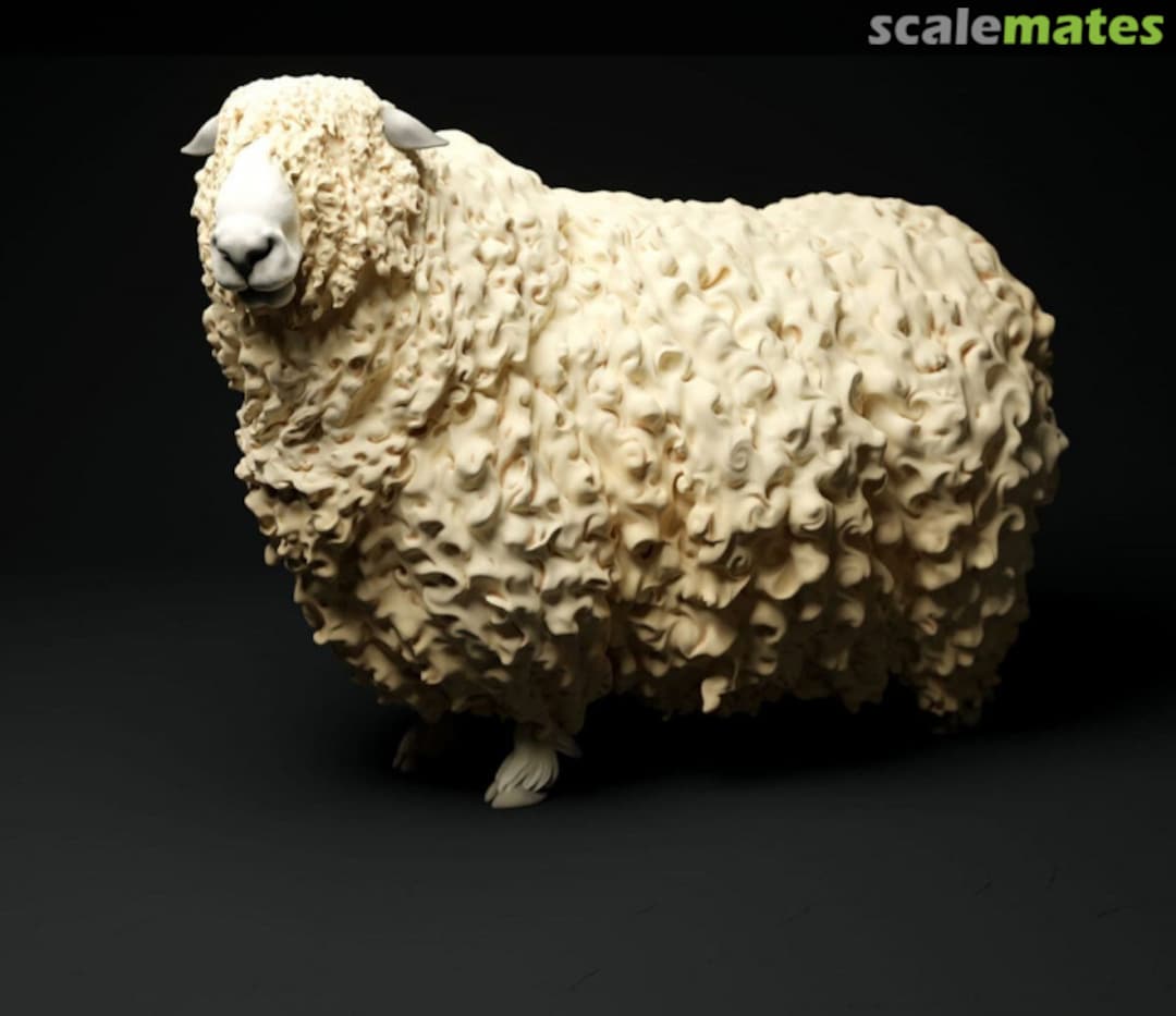 Boxart Long-haired sheep - male Standing - type 2 48130328 EMP3d Boxart Long-haired sheep - male Standing - type 2 48130328 EMP3d