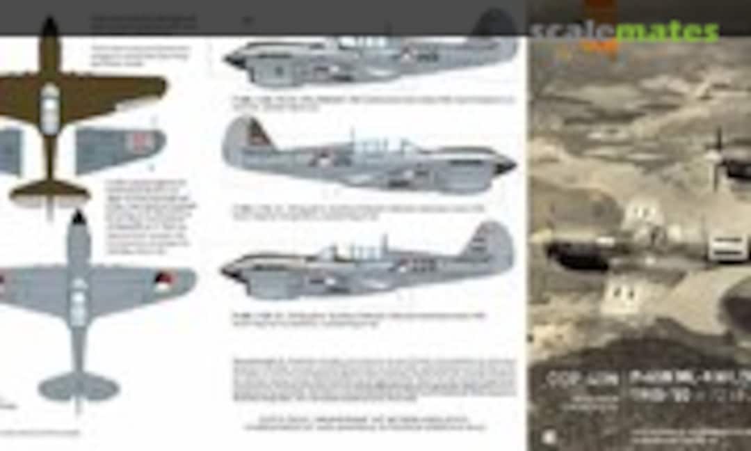 No P-40N ML-KNIL/RNEIAAF 1945-'50 (Dutch Decal DDP40N) DDP40N