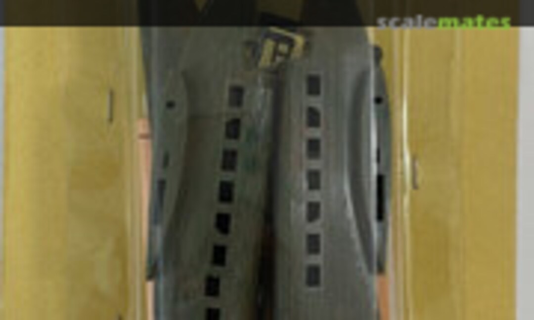 1:100 Junkers Ju 52/3m (Preiser 2900)