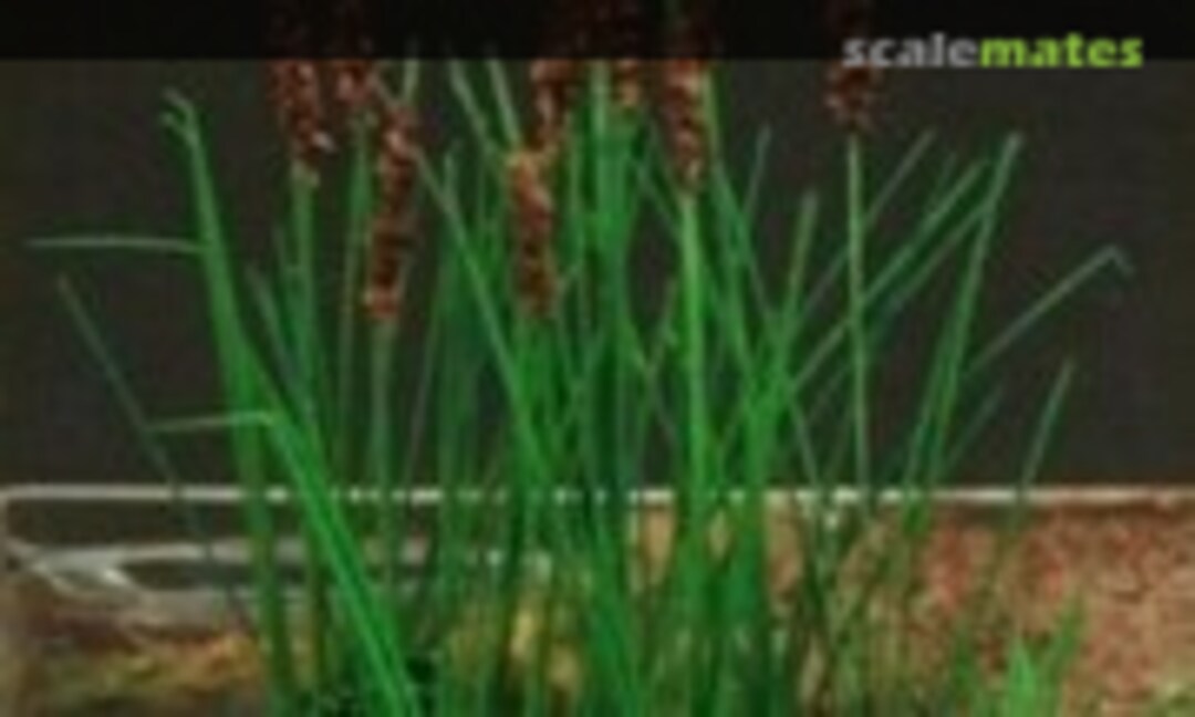 1:72 Bulrush <Green> (Fredericus-Rex GL-1-72-003-GN) GL-1-72-003-GN