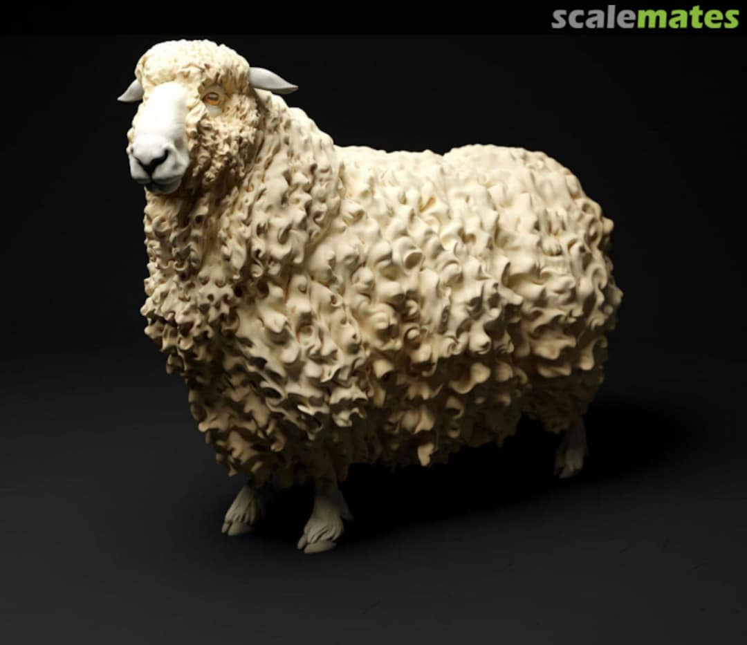Boxart Long-haired sheep - sheep standing - type 1 48130330 EMP3d