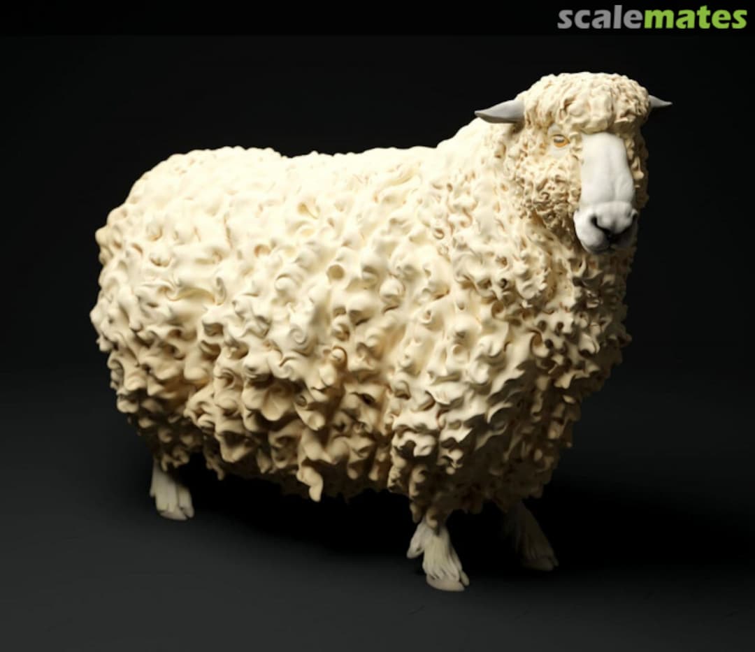 Boxart Long-haired sheep - sheep standing - type 2 48130331 EMP3d Boxart Long-haired sheep - sheep standing - type 2 48130331 EMP3d