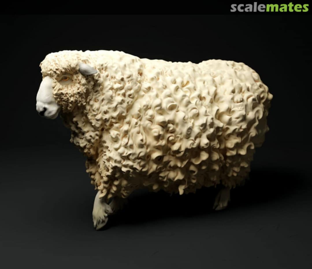 Boxart Long-haired sheep - sheep walking 48130332 EMP3d Boxart Long-haired sheep - sheep walking 48130332 EMP3d