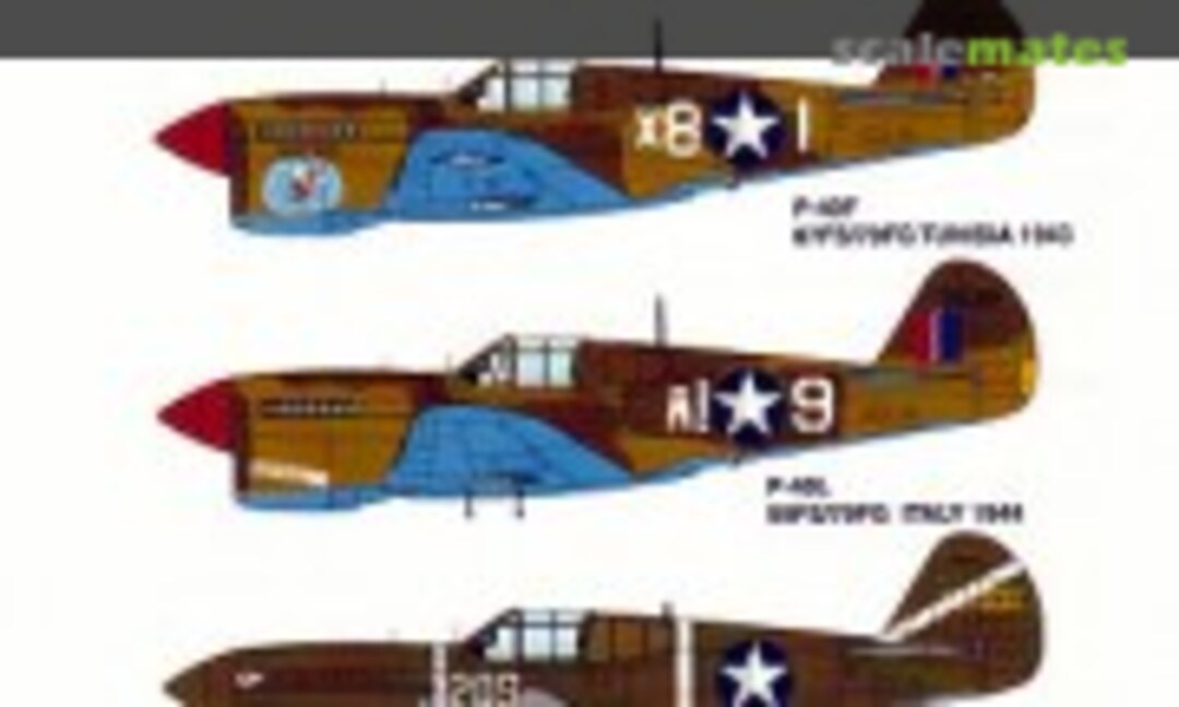 1:48 P-40F/L Warhawk (Three Guys Replicas TGR48102) TGR48102